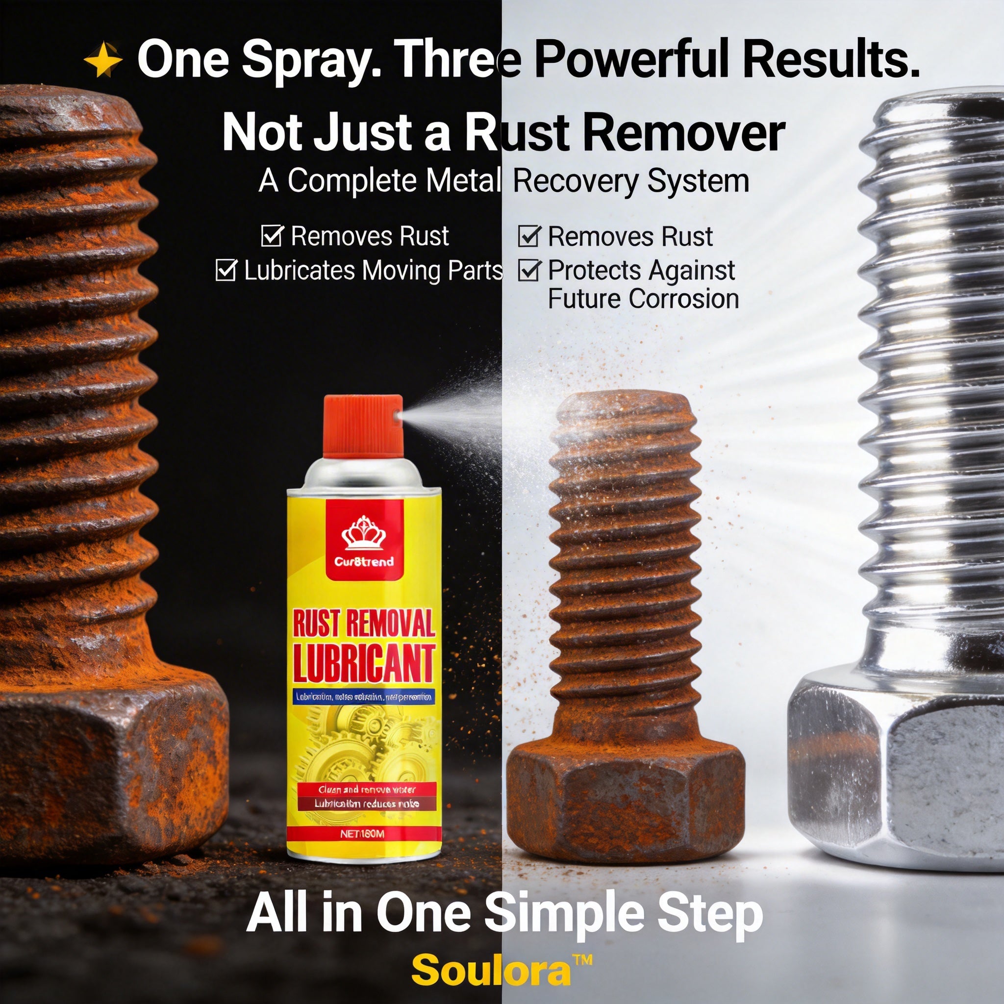 Rust Remover &amp; Anti-Rust Lubricant Spray